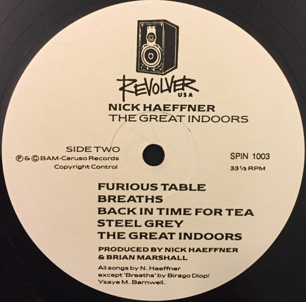 Nick Haeffner : The Great Indoors (LP, Album)