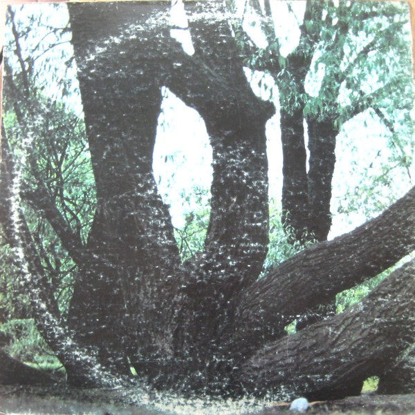Fat Mattress : Fat Mattress (LP, Album, MO)
