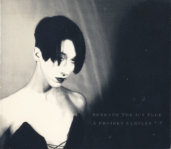Various : Beneath The Icy Floe V. 4 - A Projekt Sampler (CD, Smplr)