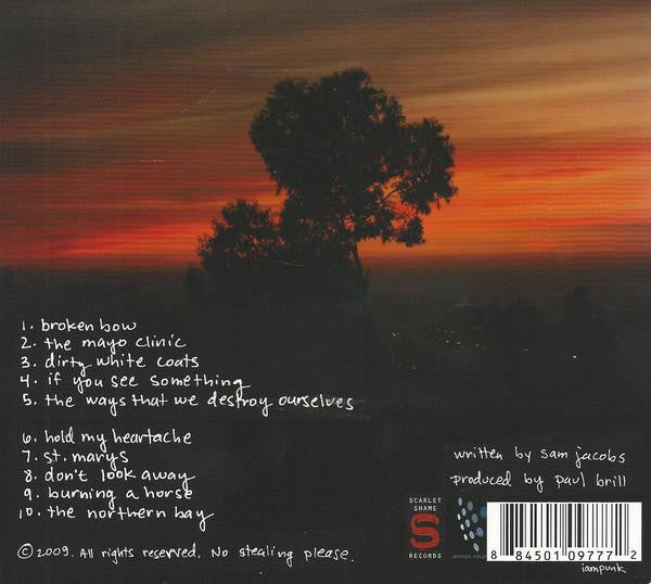 The Flying Change : Pain Is A Reliable Signal (CD)