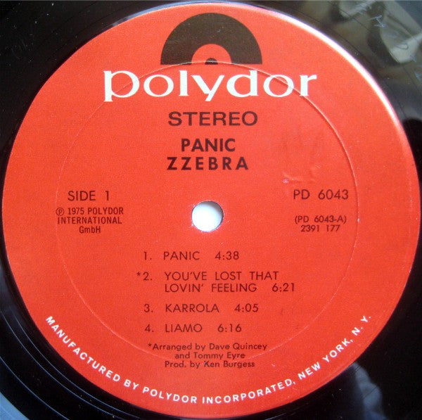 Zzebra : Panic (LP, Album)