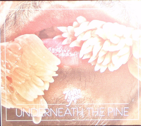 Toro Y Moi : Underneath The Pine (CD, Album, Promo)