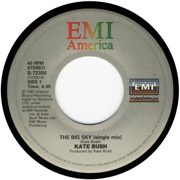 Kate Bush : The Big Sky (Special Single Mix) (7", Single)