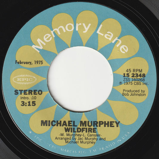 Michael Martin Murphey : Wildfire / A Mansion On The Hill (7")