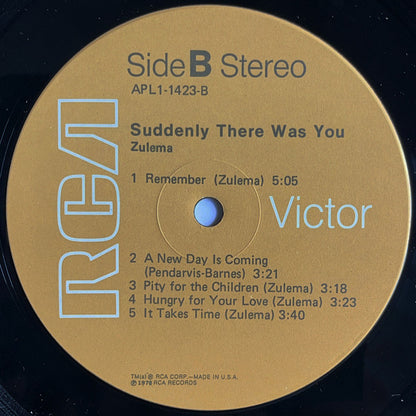 Zulema : Suddenly There Was You (LP, Album)