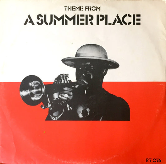 Tan Tan (3) : Theme From A Summer Place (12")