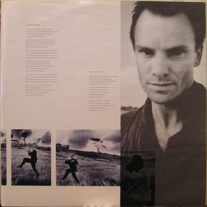 Sting : The Dream Of The Blue Turtles (LP, Album)