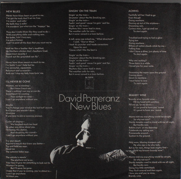 David Pomeranz : New Blues (LP, Album)