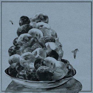 Hop Along : Painted Shut (CD, Album)