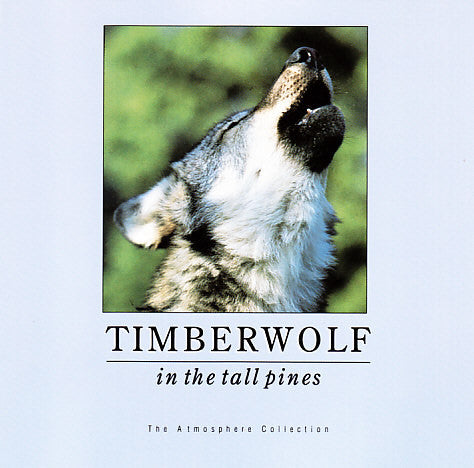 Brian Wright (5) : Timberwolf In The Tall Pines (CD)
